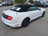 Used 2020 Ford Mustang Premium image 4