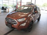 Used 2020 Ford EcoSport SE image 3