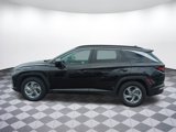 Used 2024 Hyundai Tucson SEL image 6