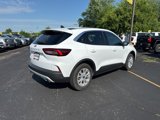 Used 2024 Ford Escape Active image 4