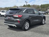 Used 2020 Ford Escape SE image 5