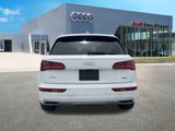 Used 2019 Audi Q5 2.0T Premium Plus w/ Premium Plus Package image 6