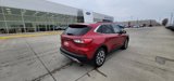 Used 2020 Ford Escape Titanium image 6