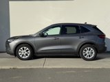 Used 2023 Ford Escape Active w/ Cold Weather Package image 4