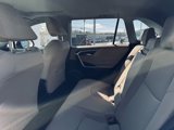 Certified 2020 Toyota RAV4 XLE image 5