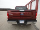 Used 2016 Ford F150 XLT w/ Equipment Group 302A Luxury image 5