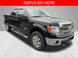Used 2014 Ford F150 XLT w/ Equipment Group 302A Luxury image 2