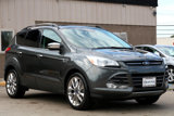 Used 2016 Ford Escape SE w/ SE Chrome Package image 4