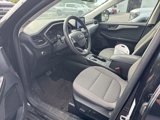 Used 2022 Ford Escape SE w/ Convenience Package image 5