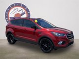 Used 2019 Ford Escape SE image 2