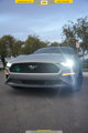 Used 2023 Ford Mustang Premium image 2