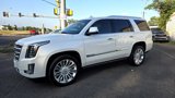 Used 2016 Cadillac Escalade Platinum image 2