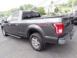 Used 2016 Ford F150 XLT w/ Equipment Group 302A Luxury image 3