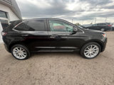 Used 2015 Ford Edge Titanium image 4