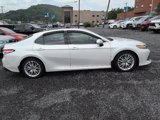 Used 2020 Toyota Camry XLE image 2