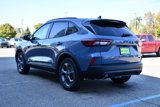 Used 2025 Ford Escape ST-Line w/ Tech Pack #1 image 6
