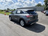 Used 2022 Ford Escape SE w/ Cold Weather Package image 5