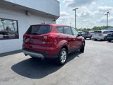 Used 2019 Ford Escape SE image 2