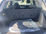 New 2025 Chevrolet TrailBlazer LT w/ LT Cold Weather Package image 5