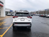 Certified 2023 Toyota RAV4 Adventure image 6