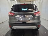 Used 2016 Ford Escape SE w/ SE Chrome Package image 6