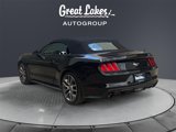 Used 2015 Ford Mustang Premium w/ Equipment Group 201A image 3