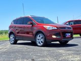 Used 2014 Ford Escape Titanium image 3