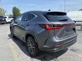 Used 2024 Lexus NX 350 AWD w/ Cold Area Package image 4
