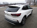 New 2025 Ford Escape Platinum w/ Premium Technology Package image 4
