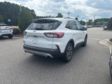 Used 2020 Ford Escape SEL image 5