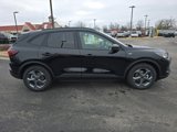 New 2025 Ford Escape ST-Line w/ Cold Weather Package image 6