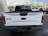 Used 2015 Ford F150 XLT image 6