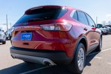 Used 2022 Ford Escape SE w/ Convenience Package image 6