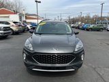 Used 2020 Ford Escape SEL image 4