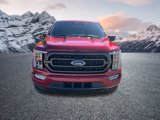 Certified 2022 Ford F150 XLT w/ Equipment Group 302A High image 3