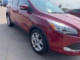 Used 2014 Ford Escape Titanium w/ Equipment Group 401A image 5