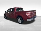 Used 2013 Ford F150 XLT w/ XLT Chrome Pkg image 4