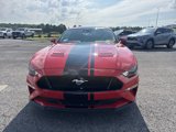 Used 2022 Ford Mustang GT w/ Equipment Group 301A image 2