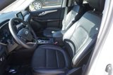 Certified 2022 Ford Escape SEL image 5