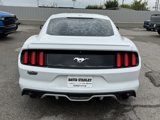 Used 2016 Ford Mustang Premium w/ Equipment Group 201A image 4