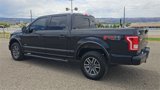 Used 2015 Ford F150 XLT w/ Equipment Group 302A Luxury image 6
