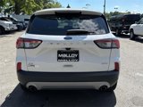 Used 2020 Ford Escape SE image 3