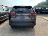 Used 2019 Toyota RAV4 XLE image 5