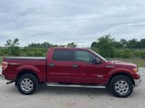 Used 2014 Ford F150 XLT w/ Equipment Group 302A Luxury image 4