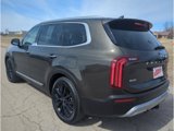 Used 2020 Kia Telluride SX w/ SX Prestige Package image 6