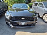 Used 2017 Ford Mustang Coupe w/ Enhanced Security Package image 2
