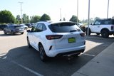 Used 2023 Ford Escape ST-Line w/ Tech Pack #1 image 4