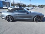 Certified 2022 Ford Mustang Premium image 2