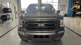 Used 2023 Ford F150 XLT w/ Equipment Group 302A High image 2