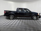 Used 2013 Ford F150 XLT w/ Luxury Equipment Group image 2